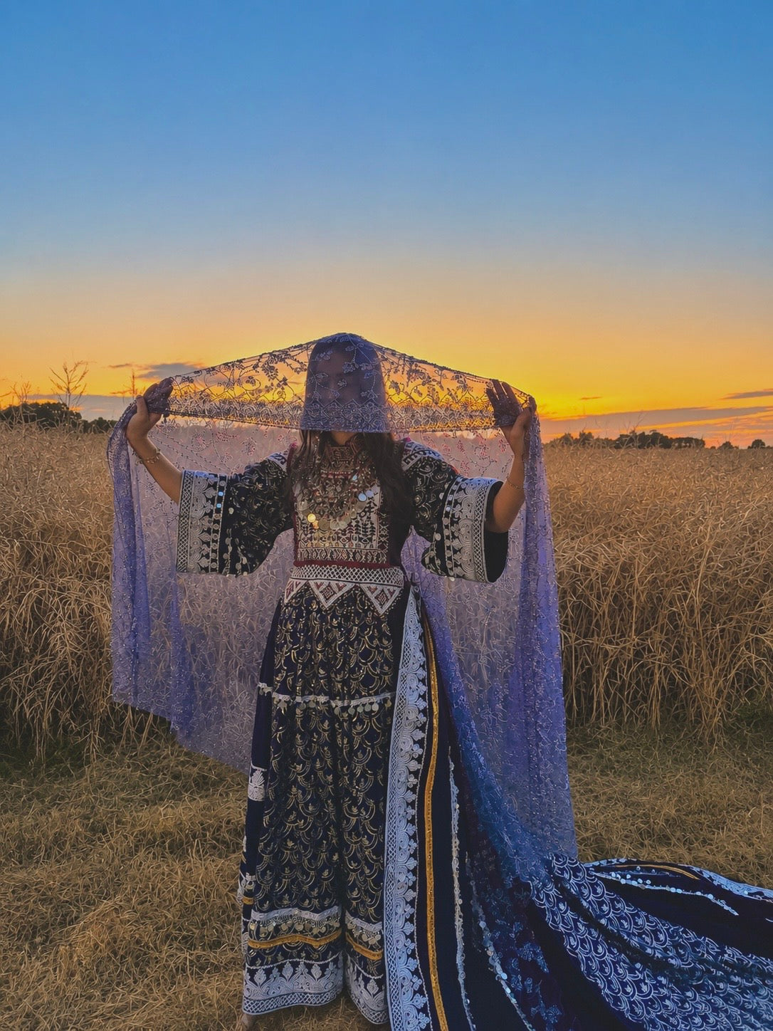 Lajward Bridal Dress